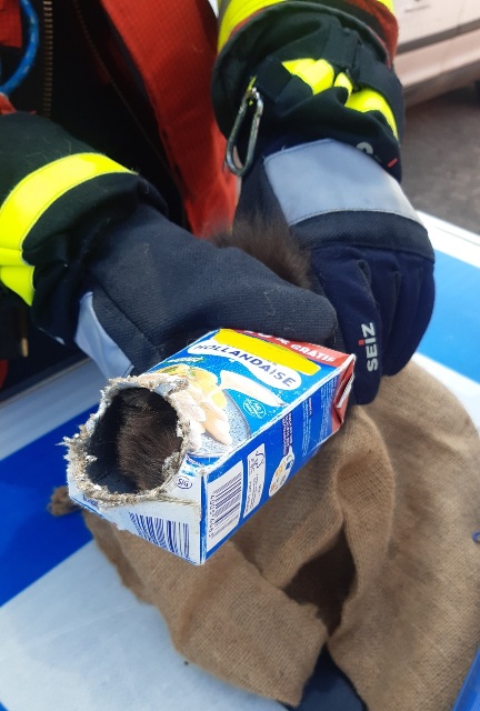 20220519_150948_resized zugeschnitten bearbeitet groß.jpg